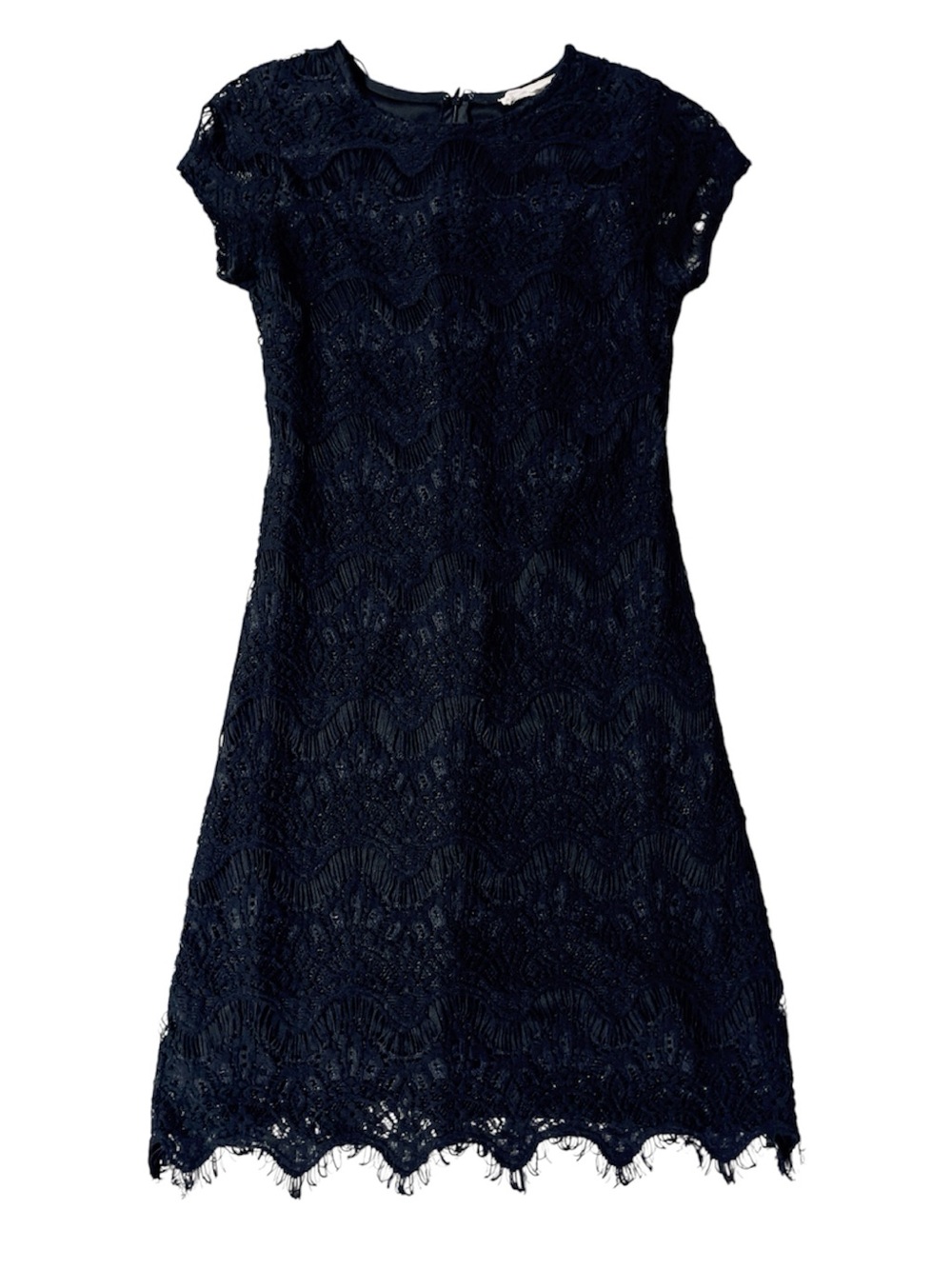 Stella Luce Black Crochet Lace Sheath Dress Sz S Cap Sleeve Scalloped Hem Formal